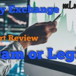 Bay Exchange Expert Review – Is it a Scam or a Legit?