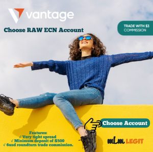 Vantage FX RAW ECN Account As The Best Offer: