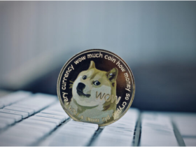 Over 90% of Dogecoin's (DOGE) Drop Since Musk's SNL Debut