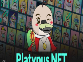Platypus Finance is a Pioneer of Impartial NFT Mining on the Avalanche.