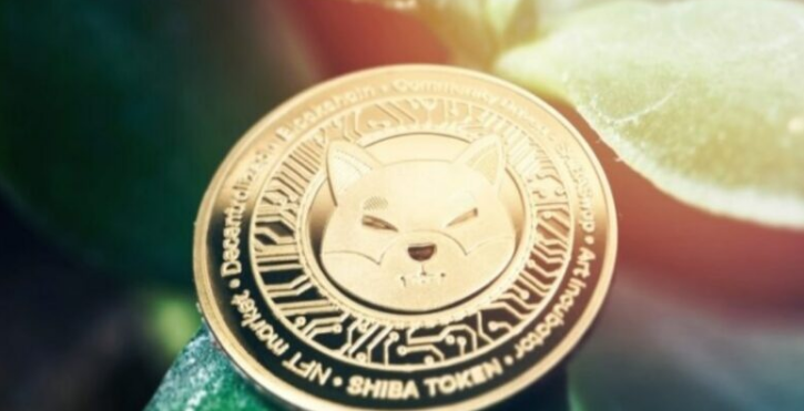 SHIB Rises By 22 As 1.5B Enters Meme Coins Market Cap - mlmlegit
